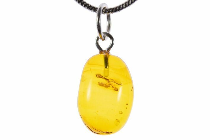 Polished Baltic Amber Pendant (Necklace) - Contains Fly! #339615